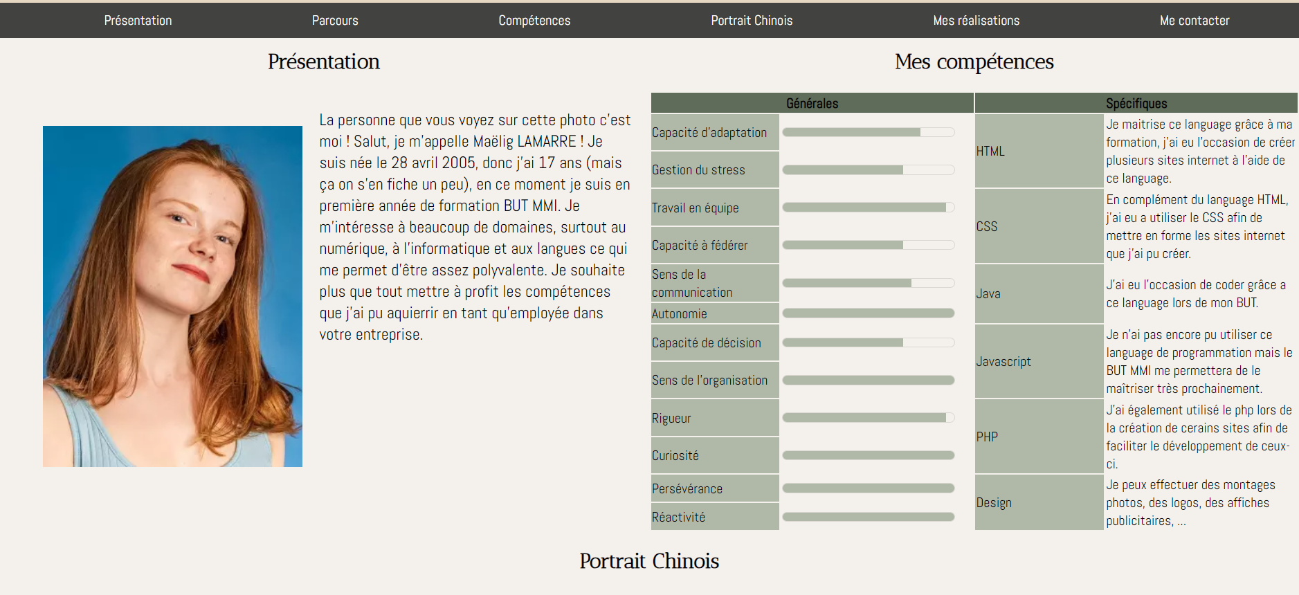 cv sous forme de site web